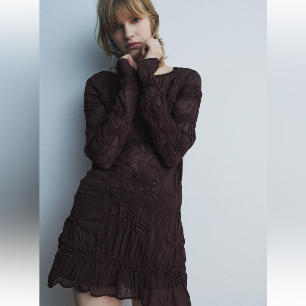 Zara embroidered ruched blouse ZW collection
